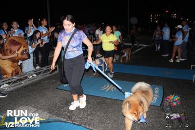 Run for Love 2024